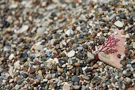 pebbles, rocks, beach, stones, round, shore