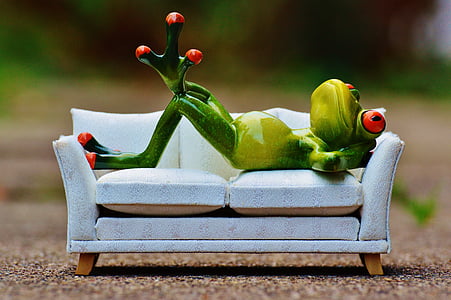 žaba, kavč, sprostitev, ostalo, zabavno, srčkano, Slika