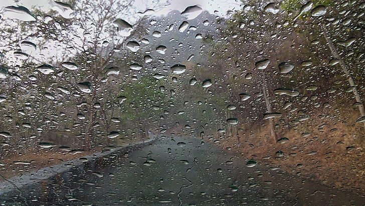 lietaus lašai, lietus, vandens, Indija, šlapiame kelyje, Gamta