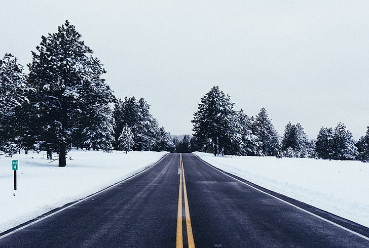 road, travel, adventure, snow, trees, cold, weather