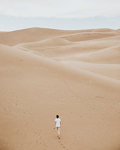 femme, blanc, Retour au début, marche, dessert, désert, paysage