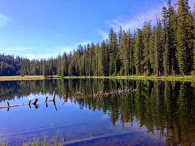 gore, Yosemite, National park, jezero, ribnik, gozd, krajine