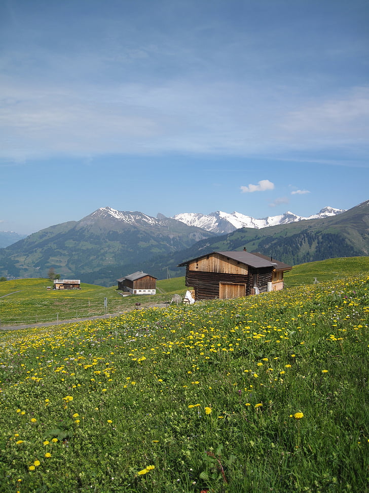 bjerge, landskab, Alperne