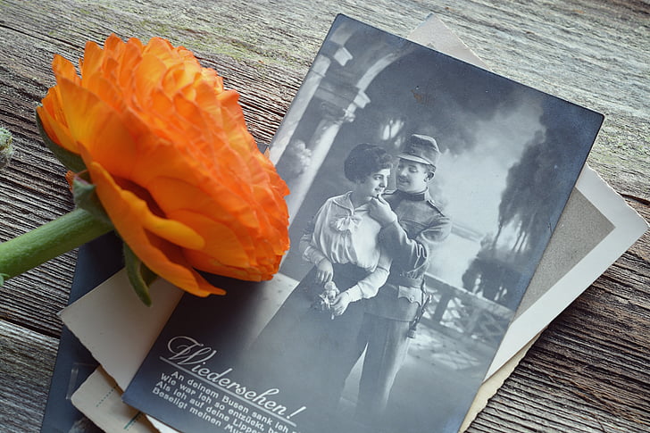 pastkarte, vecais, antīks, pagātne, atmiņas, puķe, Ranunculus