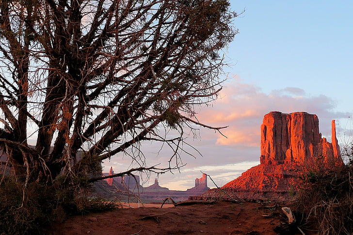 monument valley, evening, sunset, tree, rocks, red, color
