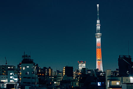 Tóquio, árvore do céu, Japão, paisagem urbana, cidade, arquitetura, Torre