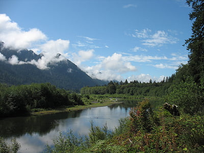 Quinault, řeka, parku, Olympic, poloostrov, stát Washington, voda
