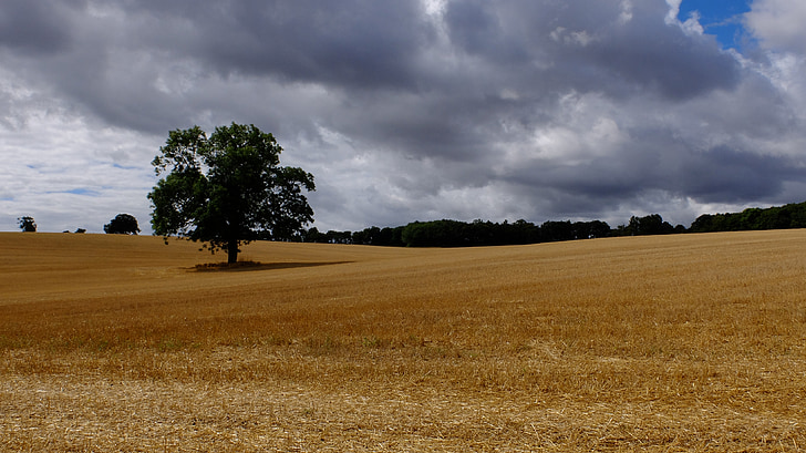 landscape, sky, countryside, summer, field, nature, rural