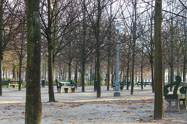 Belgija, u Bruxellesu, Zima, parka