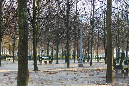 Belçika, Brüksel, Kış, Park