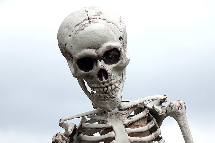 skeleton, figure, skull, pirates, halloween, skull and crossbones, bone