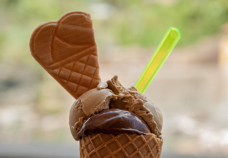 Eis, Dessert, Ice cream, Schokolade, ein Tier, Vordergrund im Fokus, schließen