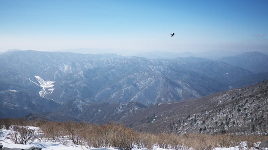 taebaek, Топ, Гора, сніг, краєвид, Зимові гори, Республіка Корея