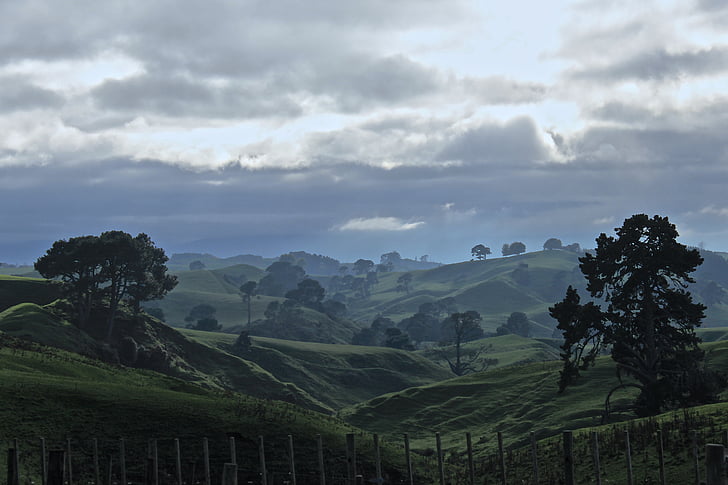 trees, near, hills, photo, mountain, valley, landscape