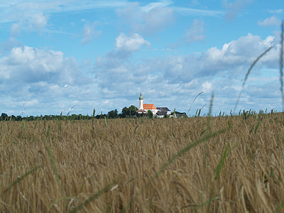 campo, trigo, Iglesia, naturaleza, Scenic, cielo, Alemania