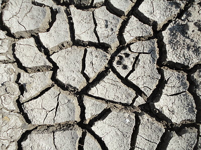soil, mud, cracks, dry, nature, brown, footprint