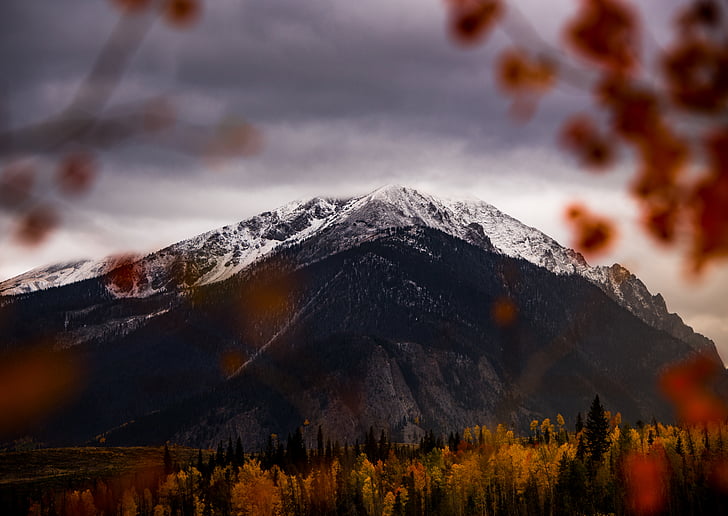 čierna, sivá, Mountain, zamračené, Sky, jeseň, Forest