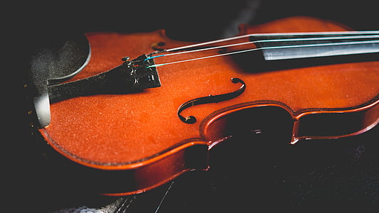 violí, música, musical, instrument, so, melodia, musical instrument