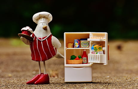 bird, bake, cook, refrigerator, figure, cute, funny