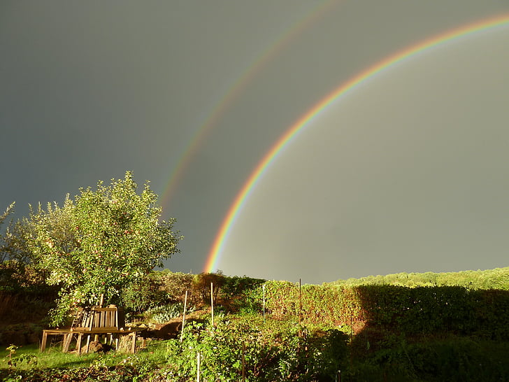 regn, Rainbow, Dubbelrum, naturen, träd