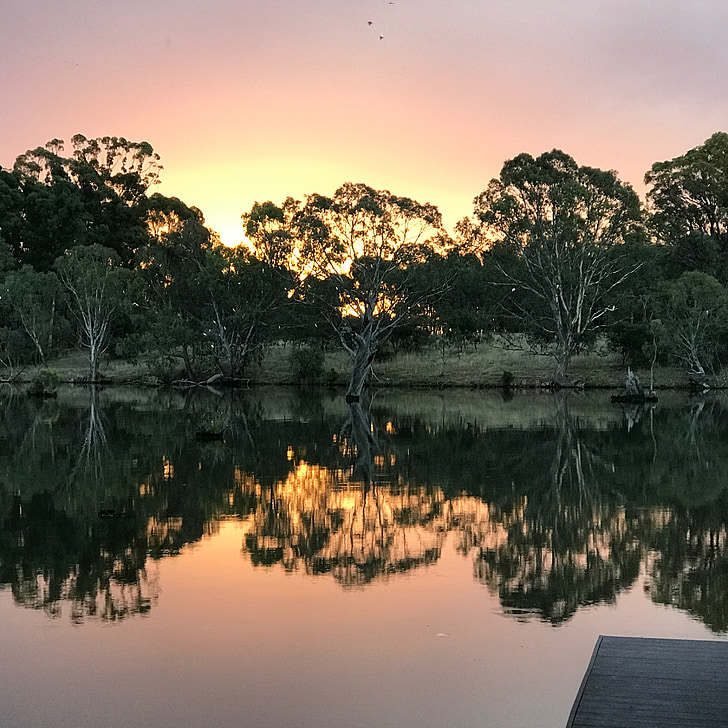 Tükörkép, víz, Goulburn weir, Nagambie, Victoria, naplemente, természet