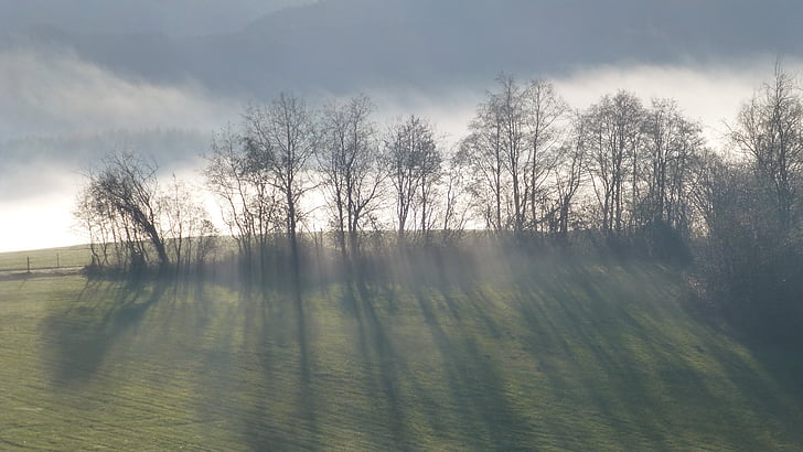 Allgäu, Jezioro forggensee, jesień, mgła, drzewa, cień