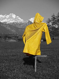 Луговий, жовтий, дощ пальто, гори