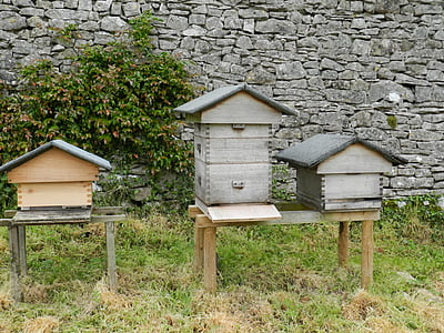 beehives, beekeeping, bee