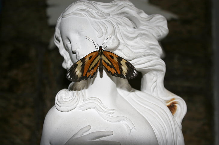 statue, butterfly, face