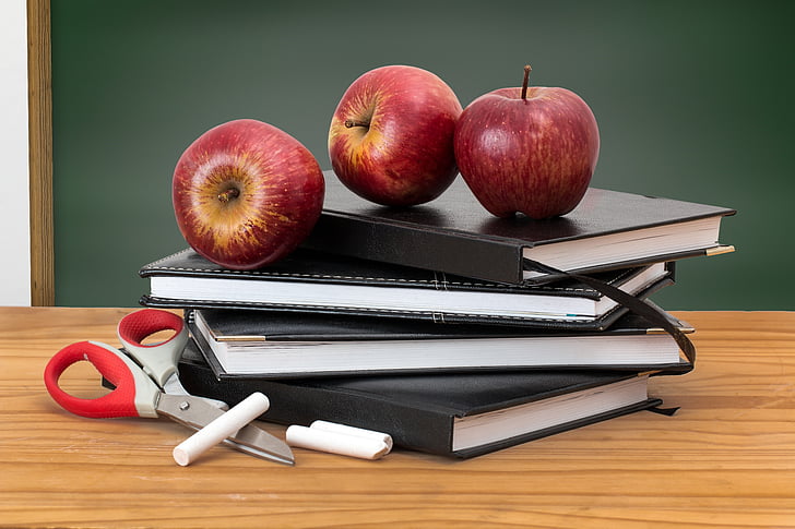 Schule, Bücher, Äpfel, Blackboard, grünes Brett, Bildung, lernen