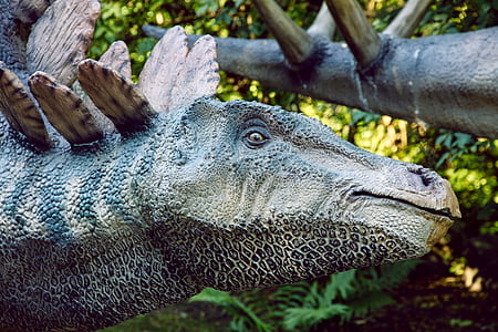 Dinopark, dinozaur, Stegozaur
