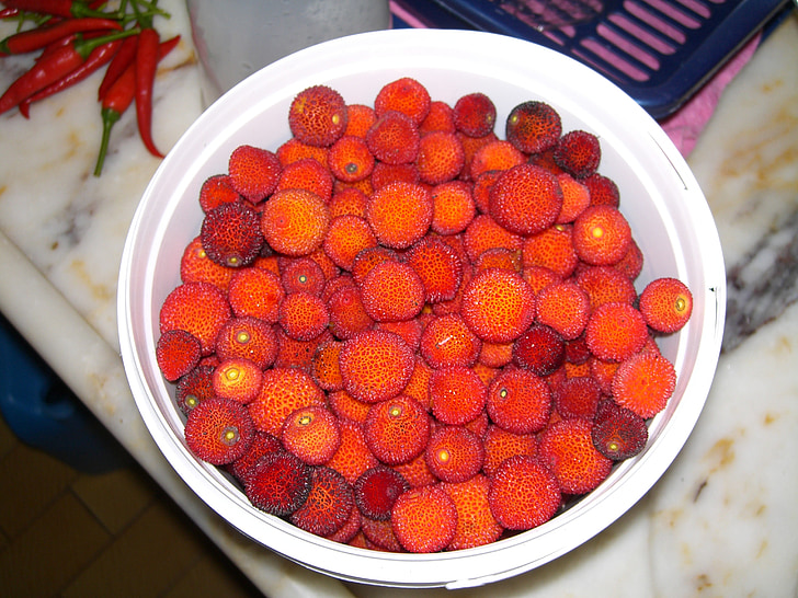 Wild strawberry, tas ir ļoti garšīgs, tas ir garšīgi