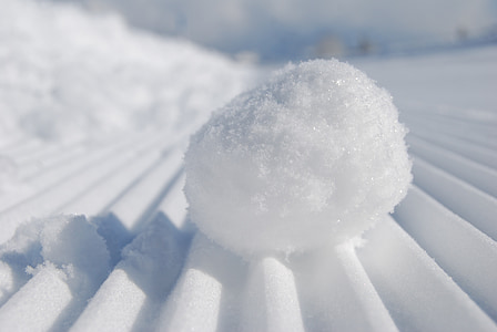 snowball, snow, snow sifted, snowflake, zing, winter