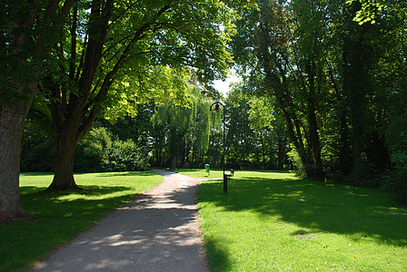 Park, Szlak, ścieżka, spokojnej, cień, odkryty, drzewa