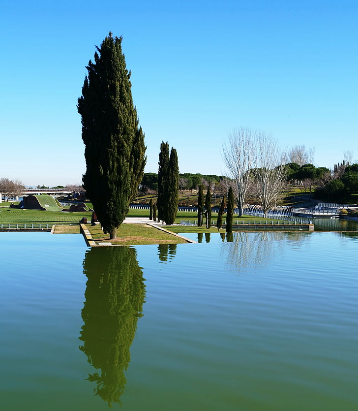 madrid, spain, park, lake, cypress, reflection