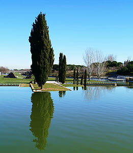 Мадрид, Испания, Парк, озеро, Кипарис, отражение