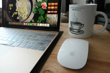 adicto al café, café, taza, trabajo, ordenador portátil, computadora, taza
