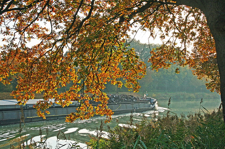 automne, navire, canal, eau, arbre