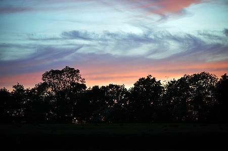 Storm, hemel, Wales, wolken, silhouetten van de bomen, roze zonsondergang