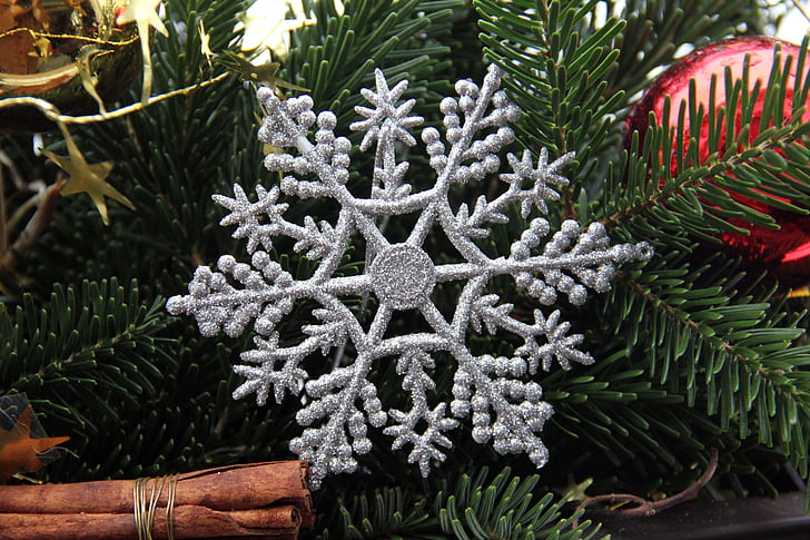 christmas, star, silver, fir green, decoration, winter, branch