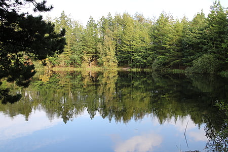 Осень, Зеркальное изображение, озеро, воды, небо, природные, Дания