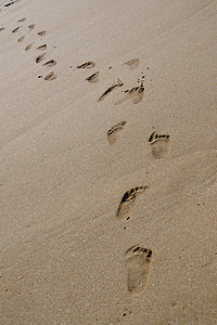 曲目, 沙子, 海滩, 足迹在沙子, 海, 阳光海滩