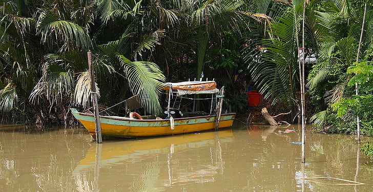 Sungai, perahu, Malaysia, alam, kapal, di luar rumah, rekreasi