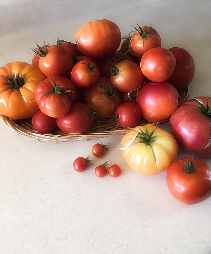pomidory, Bounty, jedzenie, naturalne, dojrzałe, warzyw, produkcji