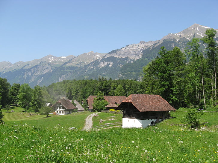 Seefeld, Švýcarsko, vesnice, louka, hory, Allgäu, slunce