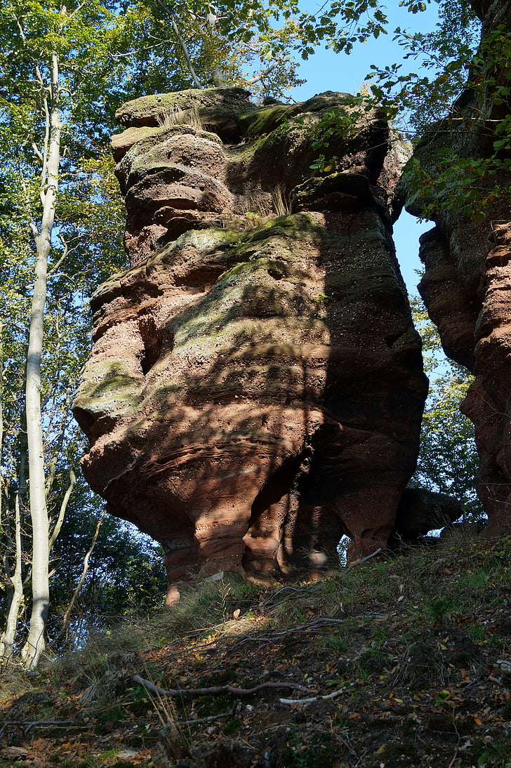 Rock, sandsten fra Vogeserne, Alsace, Frankrig, skov, natur, Vosges nord