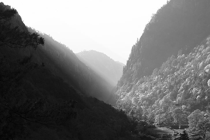 път, планини, дървета, нива на сивото, фотография, Черно и бяло, Хилс