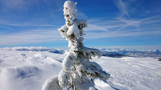 hiver, montagnes, neige, Autriche, hivernal, alpin, piste de ski