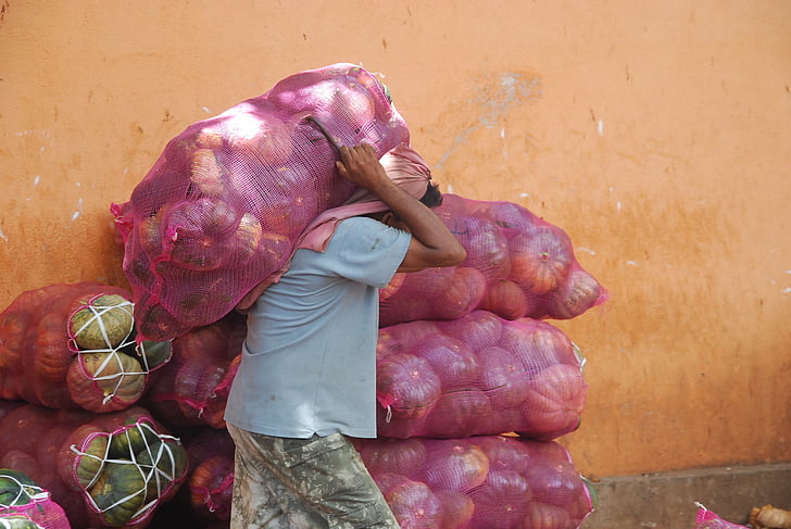 person, carrying, squash, sack, vegetables, bag, sac