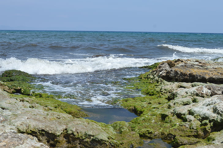 jūra, pludmale, akmeņi, zaļa, zila, putas